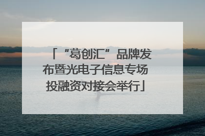 “葛创汇”品牌发布暨光电子信息专场投融资对接会举行