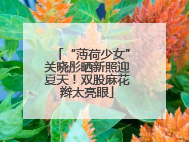 “薄荷少女”关晓彤晒新照迎夏天！双股麻花辫太亮眼