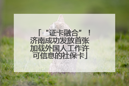 “证卡融合”！济南成功发放首张加载外国人工作许可信息的社保卡