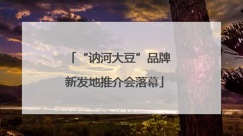 “讷河大豆”品牌新发地推介会落幕