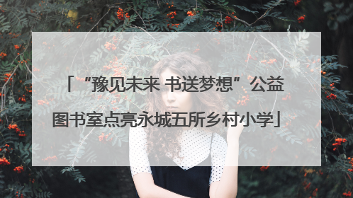“豫见未来 书送梦想”公益图书室点亮永城五所乡村小学