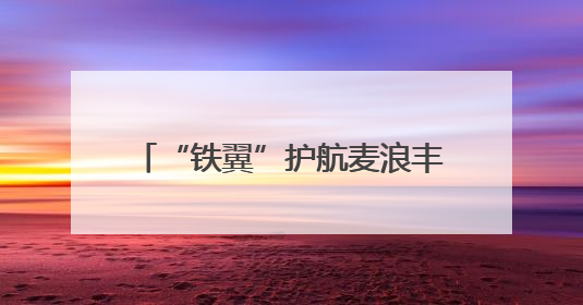 “铁翼”护航麦浪丰 平凉“一喷三防”织就夏粮丰收防护网