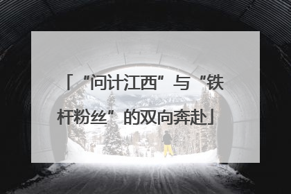 “问计江西”与“铁杆粉丝”的双向奔赴