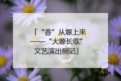 “香”从塬上来——“大塬长歌”文艺演出侧记