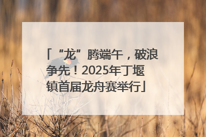 “龙”腾端午，破浪争先！2025年丁堰镇首届龙舟赛举行
