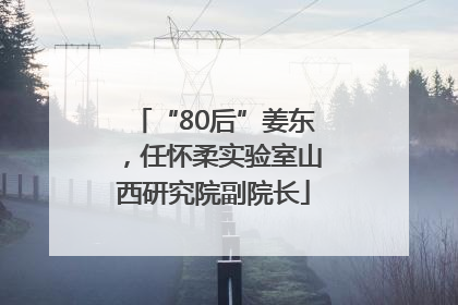 “80后”姜东，任怀柔实验室山西研究院副院长