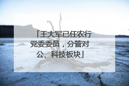 王大军已任农行党委委员，分管对公、科技板块