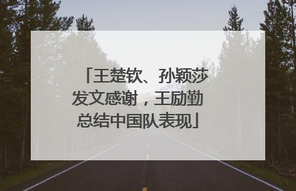 王楚钦、孙颖莎发文感谢，王励勤总结中国队表现
