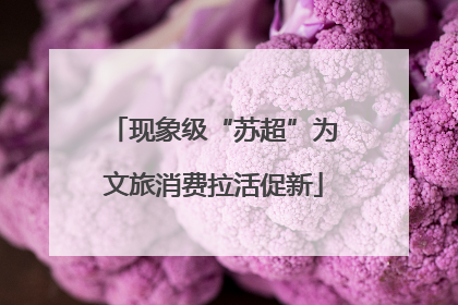 现象级“苏超”为文旅消费拉活促新