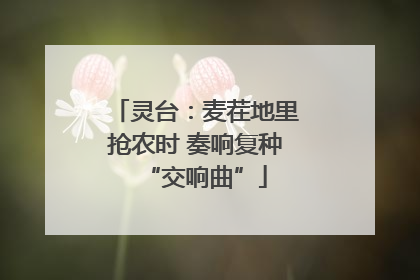 灵台：麦茬地里抢农时 奏响复种“交响曲”