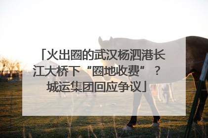 火出圈的武汉杨泗港长江大桥下“圈地收费”？城运集团回应争议