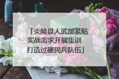 炎陵县人武部紧贴实战需求开展集训 打造过硬民兵队伍