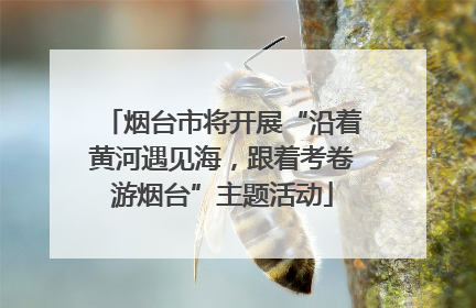 烟台市将开展“沿着黄河遇见海，跟着考卷游烟台”主题活动