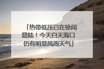 热带低压已在徐闻登陆！今天白天海口仍有明显风雨天气