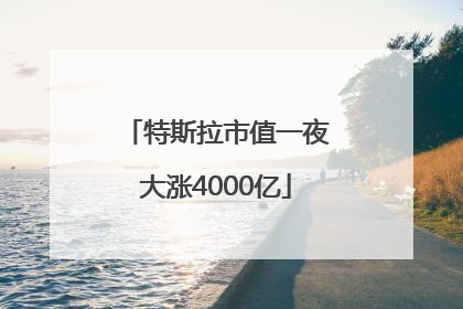 特斯拉市值一夜大涨4000亿