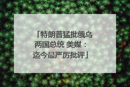 特朗普猛批俄乌两国总统 美媒：迄今最严厉批评