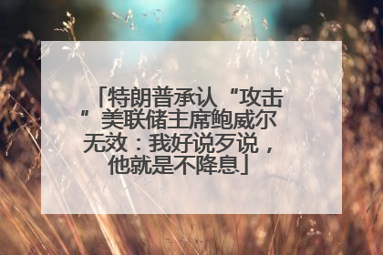 特朗普承认“攻击”美联储主席鲍威尔无效：我好说歹说，他就是不降息
