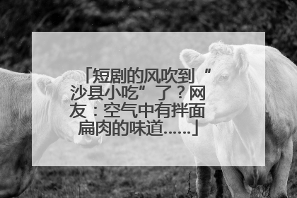 短剧的风吹到“沙县小吃”了？网友：空气中有拌面扁肉的味道……