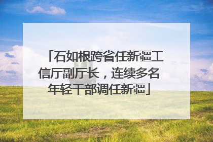 石如根跨省任新疆工信厅副厅长，连续多名年轻干部调任新疆