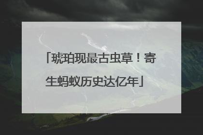 琥珀现最古虫草！寄生蚂蚁历史达亿年