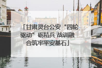 甘肃灵台公安“四轮驱动”砺精兵 战训融合筑牢平安基石