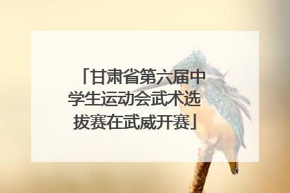 甘肃省第六届中学生运动会武术选拔赛在武威开赛