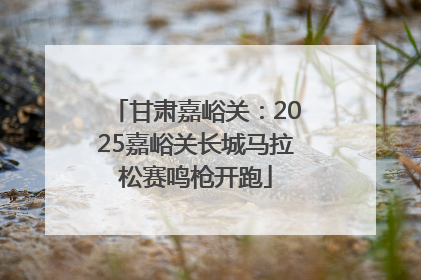甘肃嘉峪关：2025嘉峪关长城马拉松赛鸣枪开跑