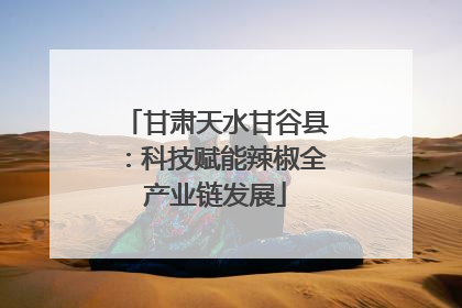 甘肃天水甘谷县：科技赋能辣椒全产业链发展