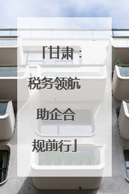 甘肃：税务领航 助企合规前行