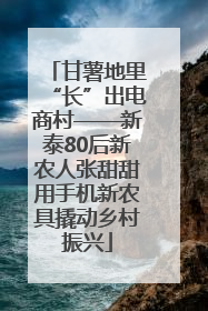 甘薯地里“长”出电商村——新泰80后新农人张甜甜用手机新农具撬动乡村振兴