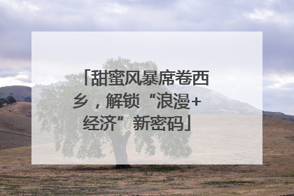 甜蜜风暴席卷西乡，解锁“浪漫+经济”新密码