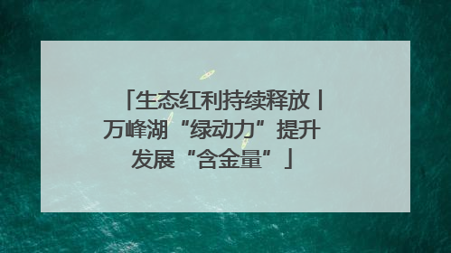生态红利持续释放丨万峰湖“绿动力”提升发展“含金量”