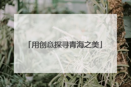 用创意探寻青海之美