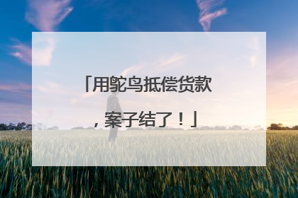 用鸵鸟抵偿货款，案子结了！