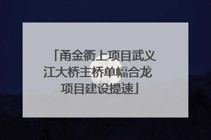 甬金衢上项目武义江大桥主桥单幅合龙 项目建设提速