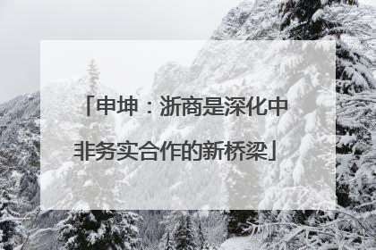 申坤：浙商是深化中非务实合作的新桥梁