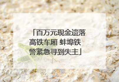 百万元现金遗落高铁车厢 蚌埠铁警紧急寻到失主