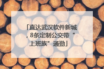 直达武汉软件新城，8条定制公交带“上班族”通勤
