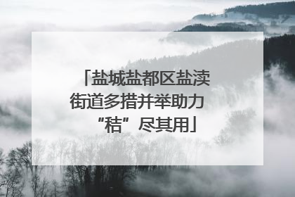 盐城盐都区盐渎街道多措并举助力“秸”尽其用