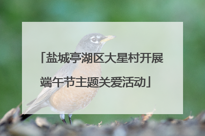 盐城亭湖区大星村开展端午节主题关爱活动