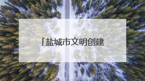 盐城市文明创建巡访团开展“党员亮身份服务当先锋”文明实践活动