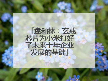 盘和林：玄戒芯片为小米打好了未来十年企业发展的基础