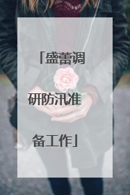 盛蕾调研防汛准备工作