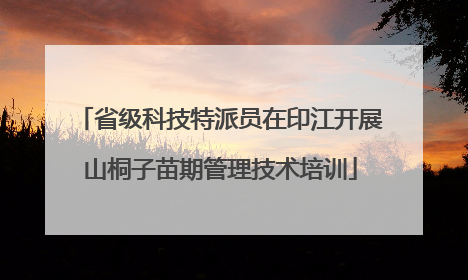 省级科技特派员在印江开展山桐子苗期管理技术培训