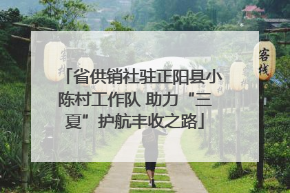 省供销社驻正阳县小陈村工作队 助力“三夏”护航丰收之路