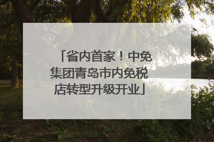 省内首家！中免集团青岛市内免税店转型升级开业