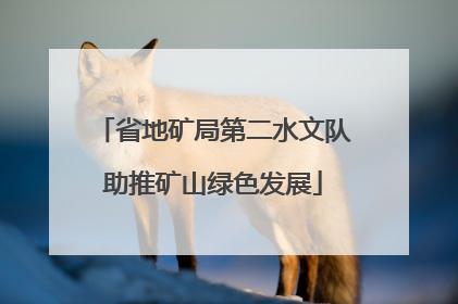 省地矿局第二水文队助推矿山绿色发展