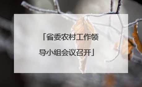 省委农村工作领导小组会议召开