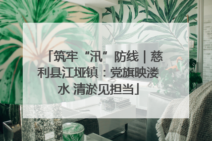 筑牢“汛”防线｜慈利县江垭镇：党旗映溇水 清淤见担当