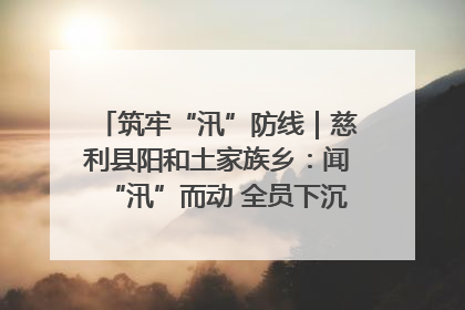 筑牢“汛”防线｜慈利县阳和土家族乡：闻“汛”而动 全员下沉筑牢防汛“安全堤”
